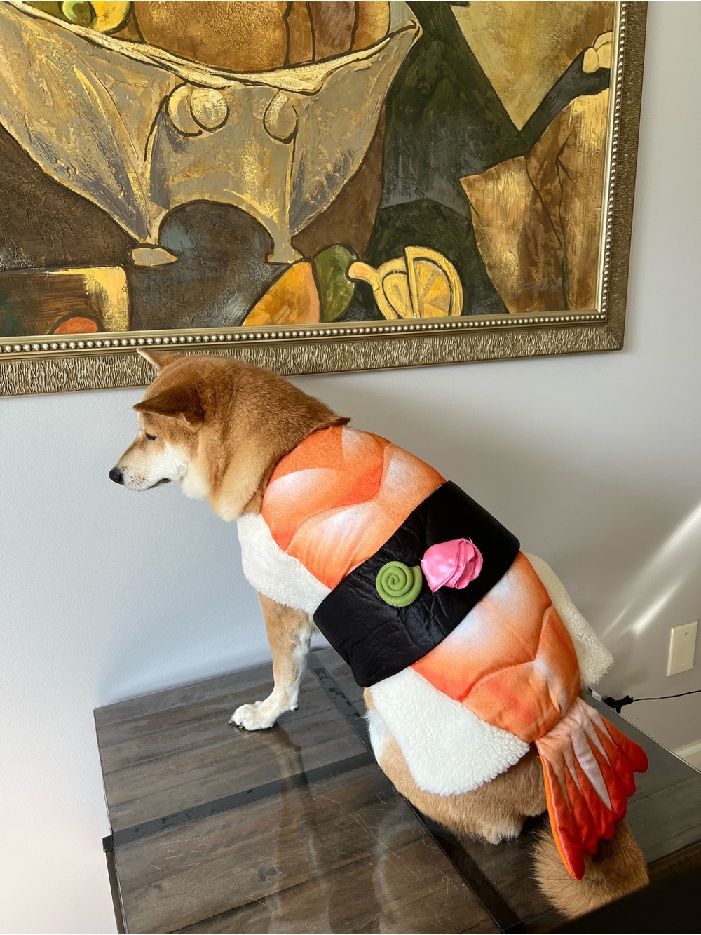 Dog Sushi Shrimp Pet Costume Outfit Size Large Nigiri sushi Dog costume